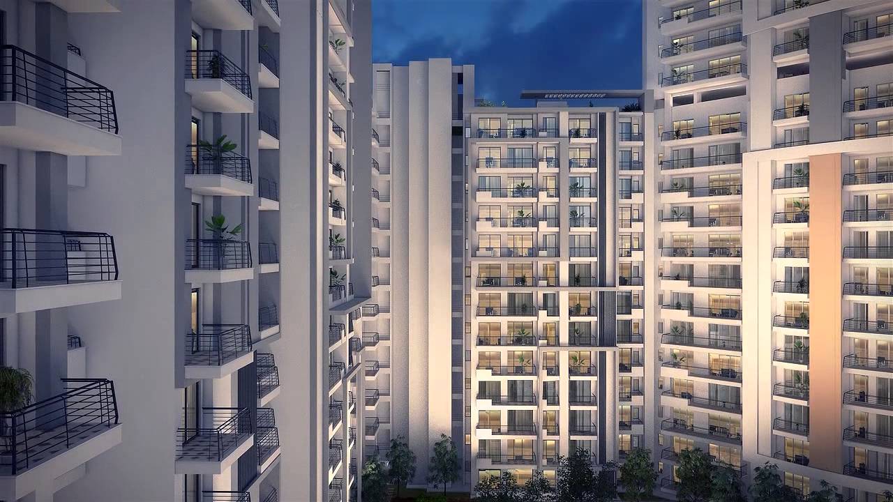 Highlights image