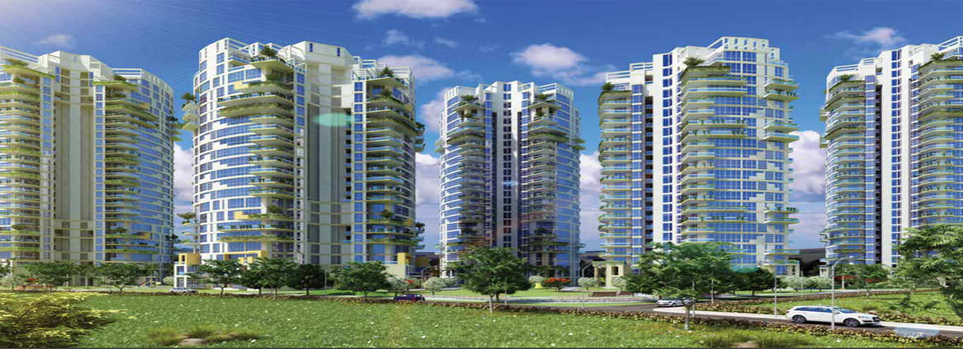 Pioneer Urban Presidia