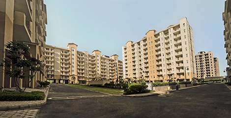 img-3